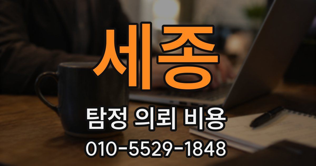세종 탐정 의뢰 비용