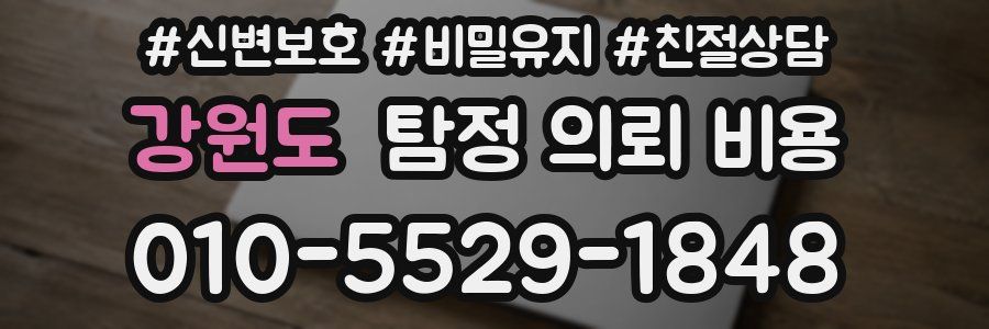 강원도 탐정 의뢰 비용