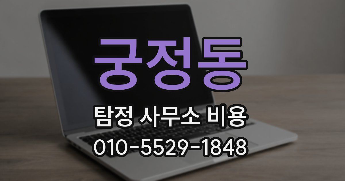 궁정동 탐정 사무소 비용