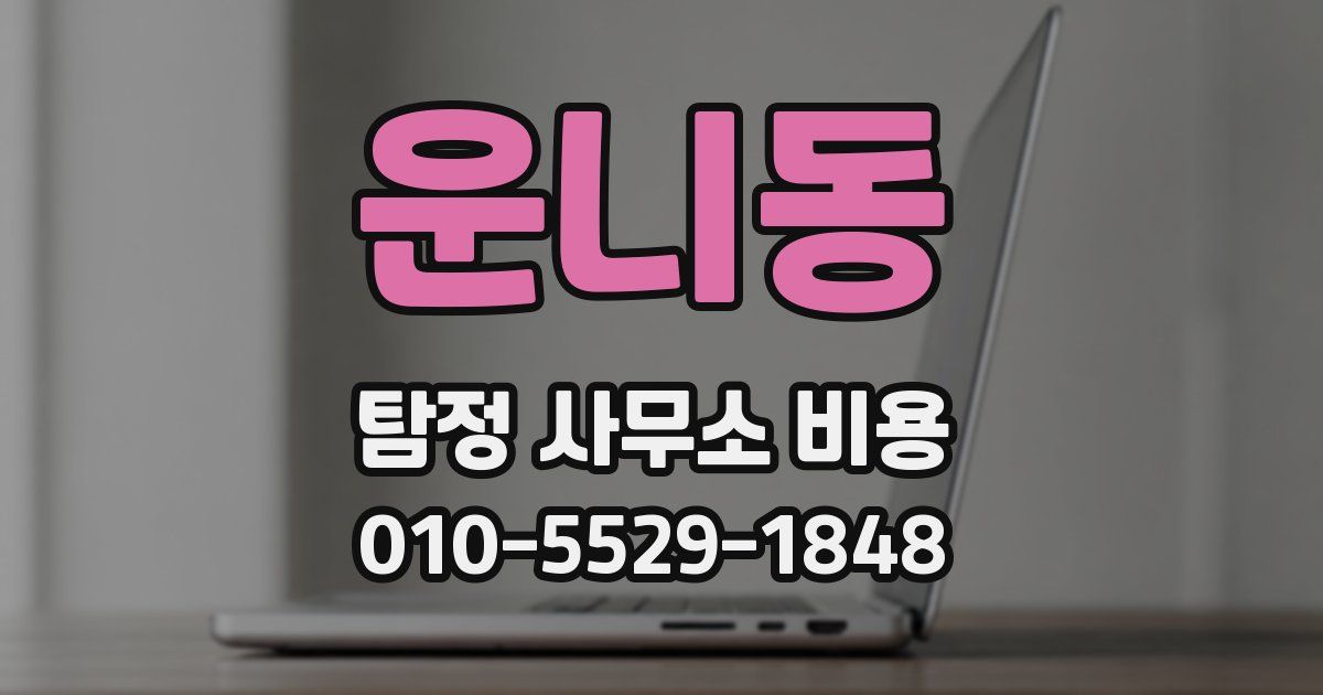 운니동 탐정 사무소 비용