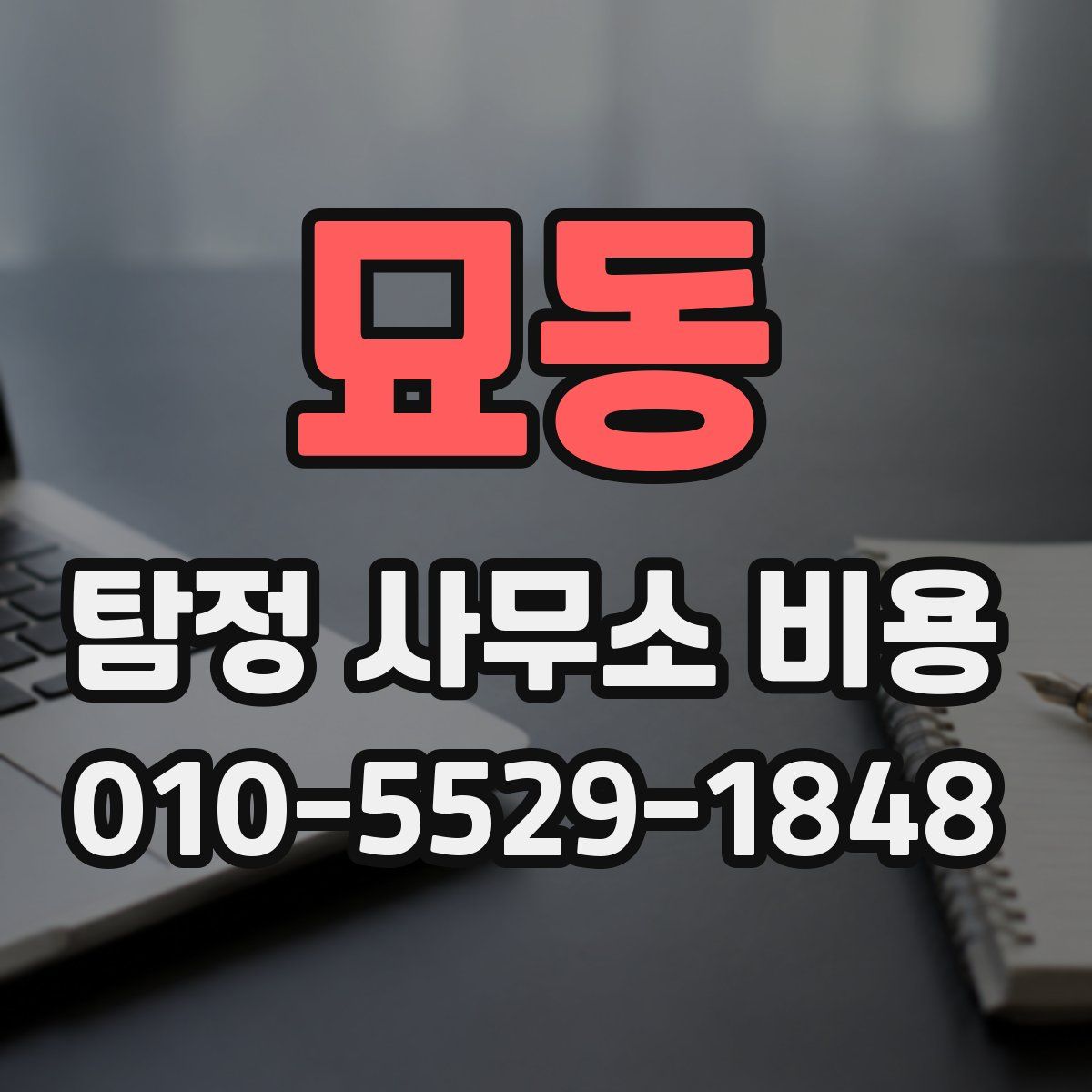 묘동 탐정 사무소 비용