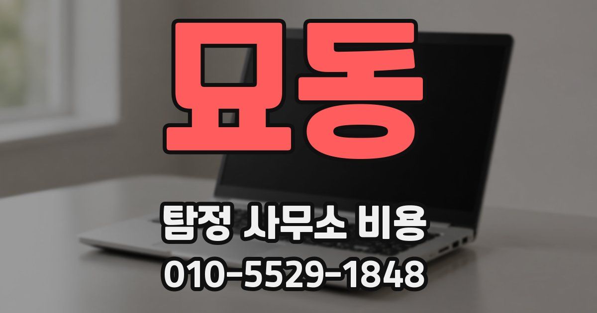 묘동 탐정 사무소 비용