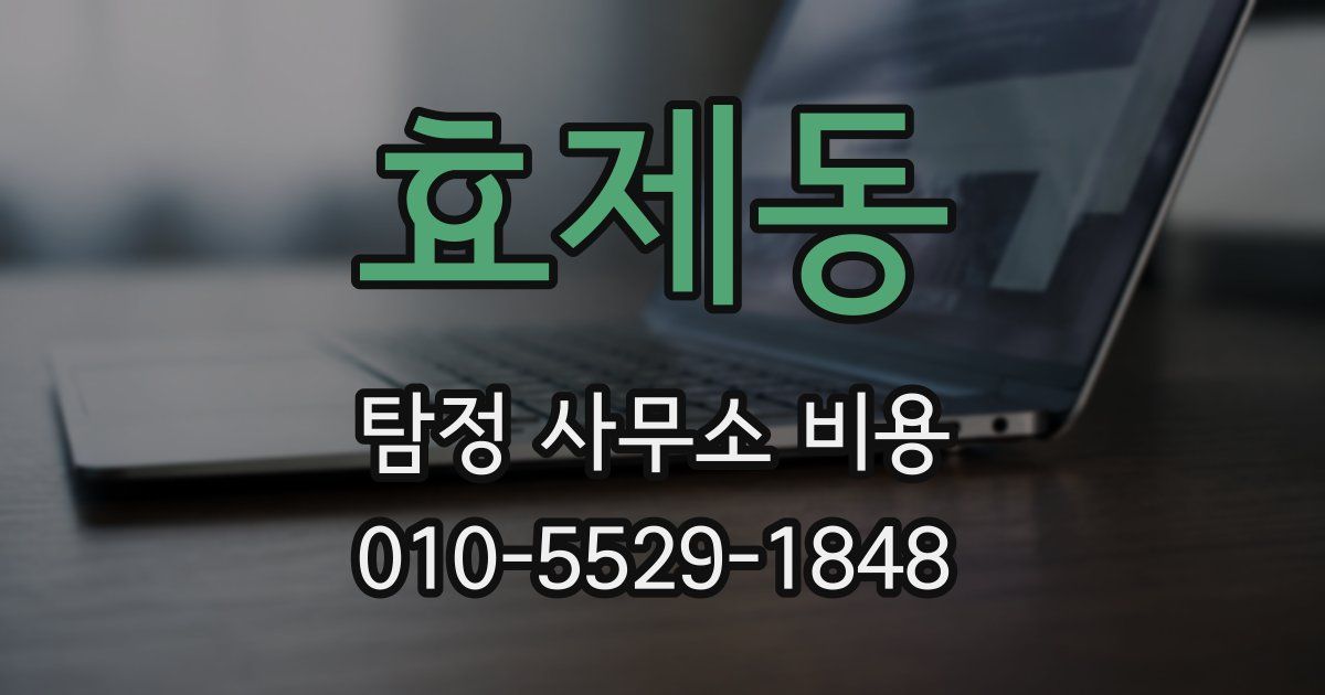 효제동 탐정 사무소 비용