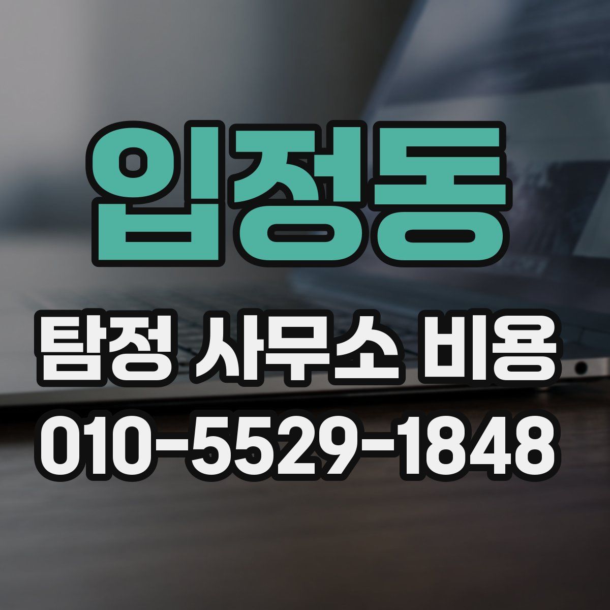 입정동 탐정 사무소 비용