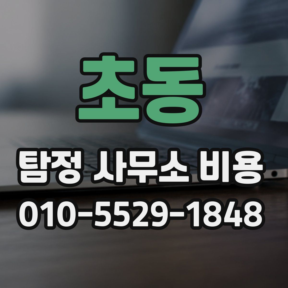 초동 탐정 사무소 비용