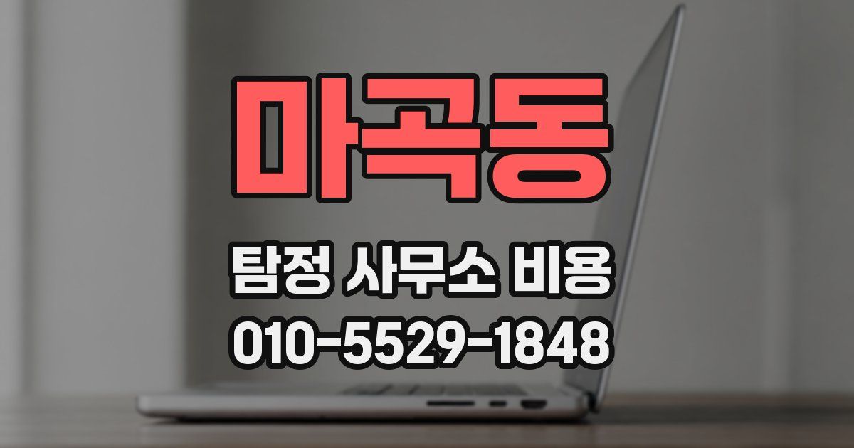 마곡동 탐정 사무소 비용