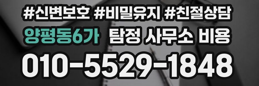 양평동6가 탐정 사무소 비용