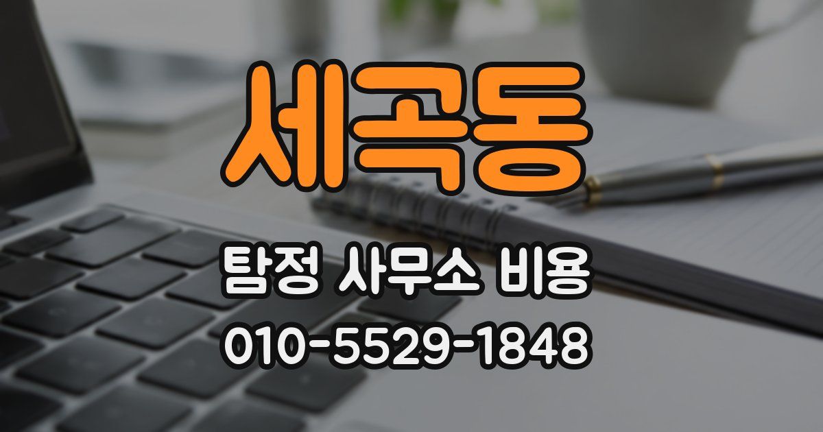 세곡동 탐정 사무소 비용