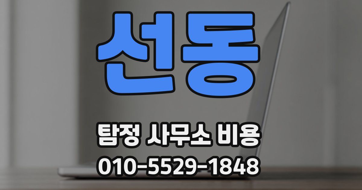 선동 탐정 사무소 비용
