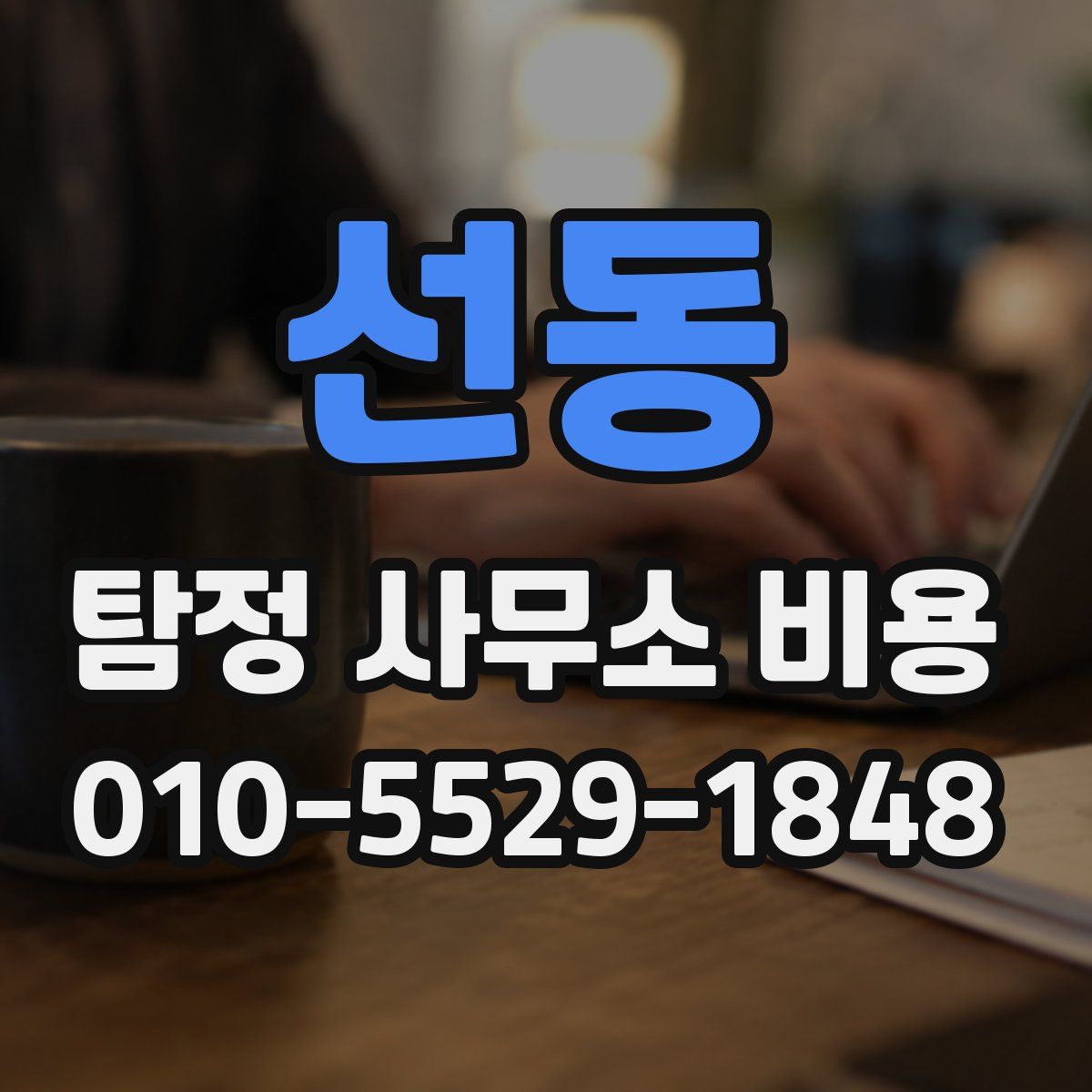 선동 탐정 사무소 비용