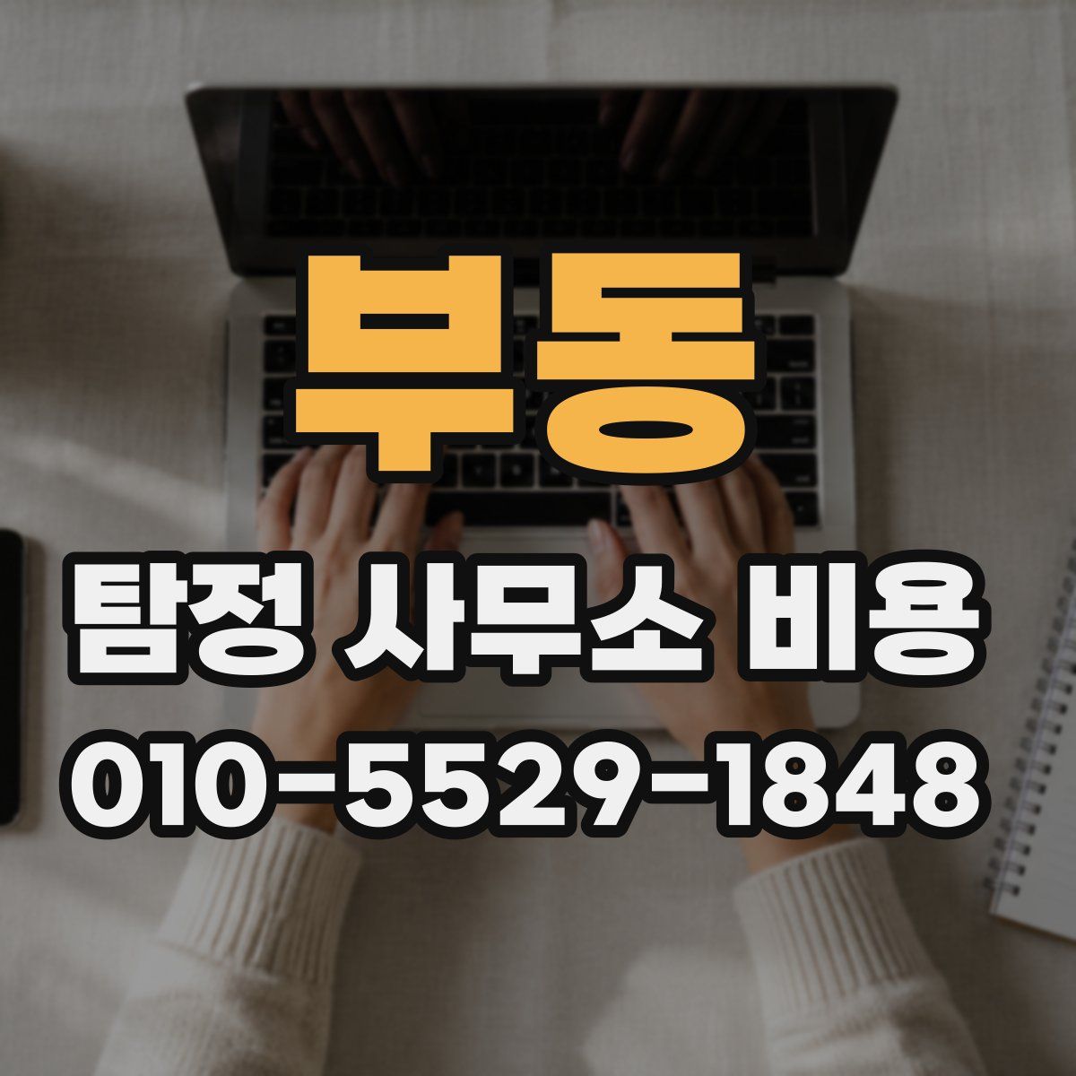 부동 탐정 사무소 비용