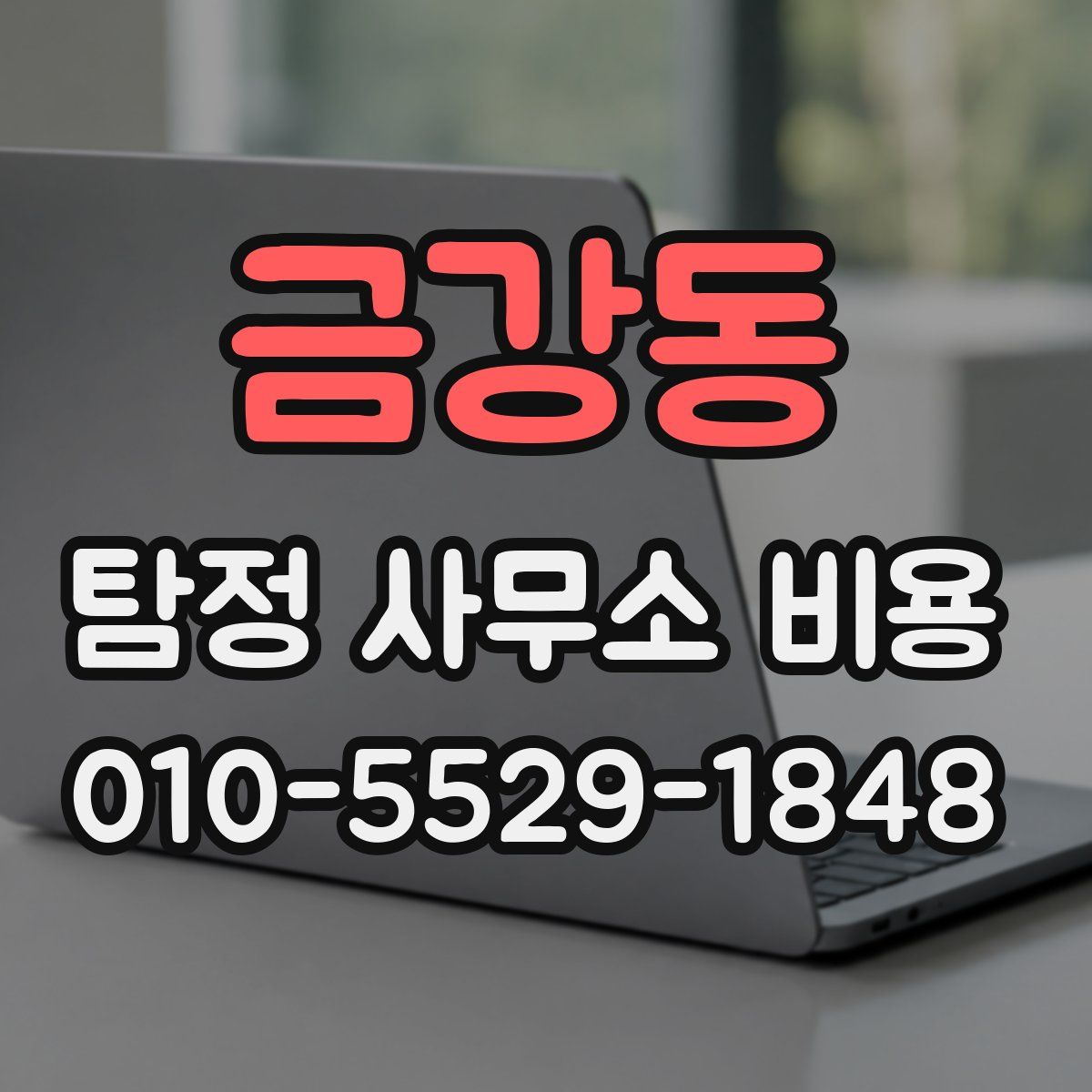 금강동 탐정 사무소 비용