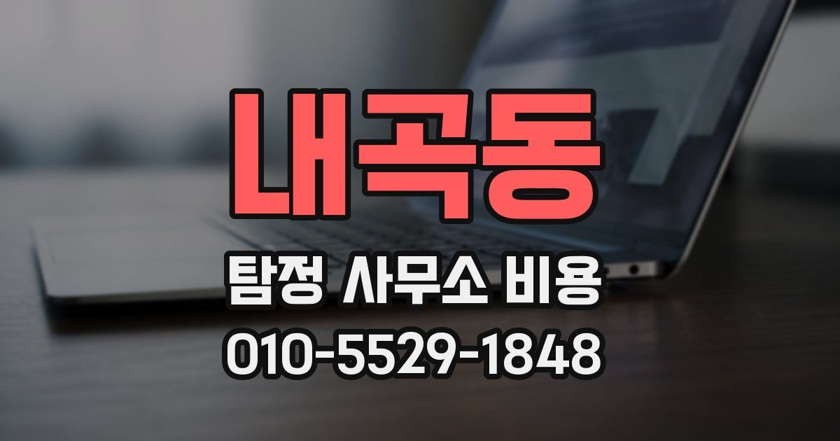 내곡동 탐정 사무소 비용