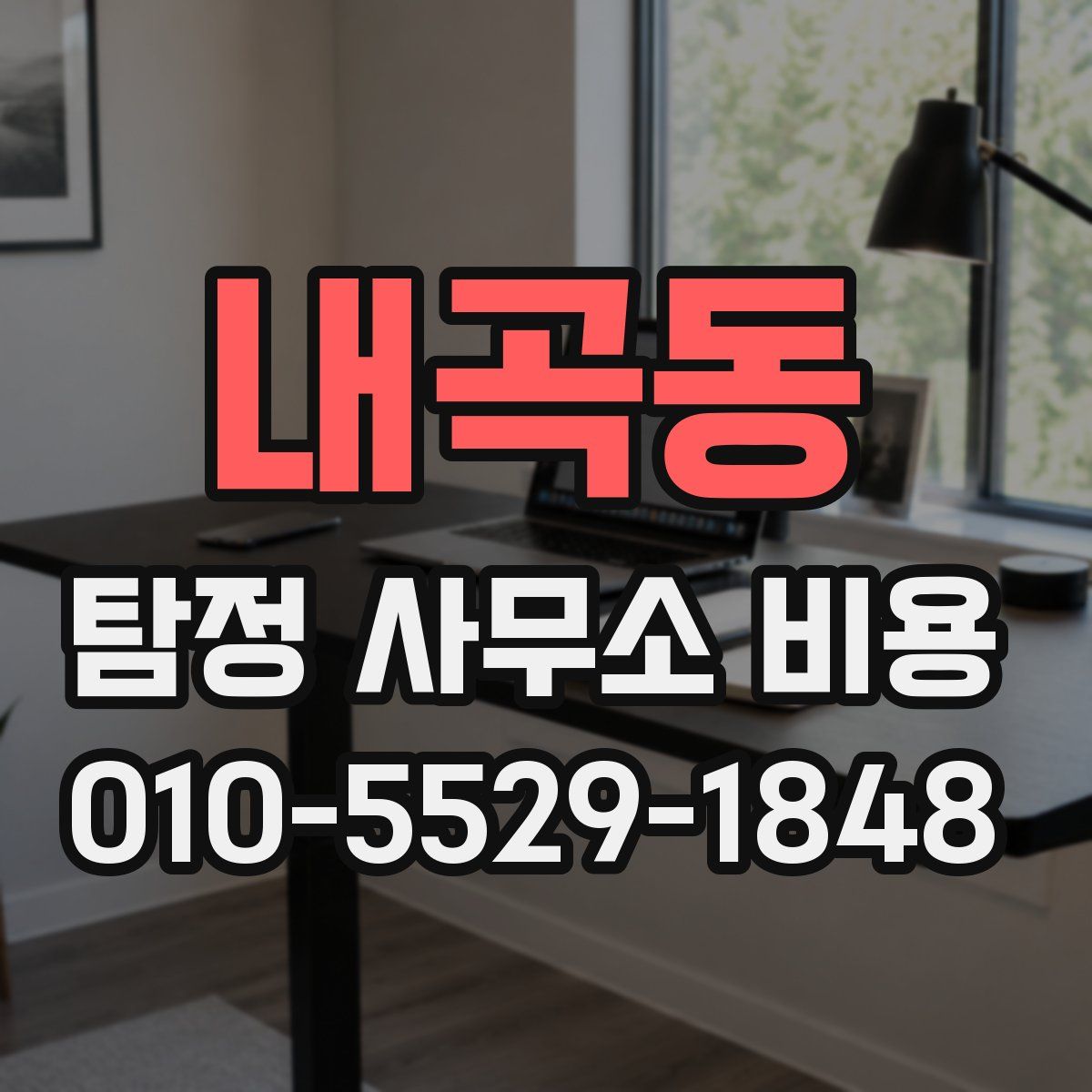 내곡동 탐정 사무소 비용