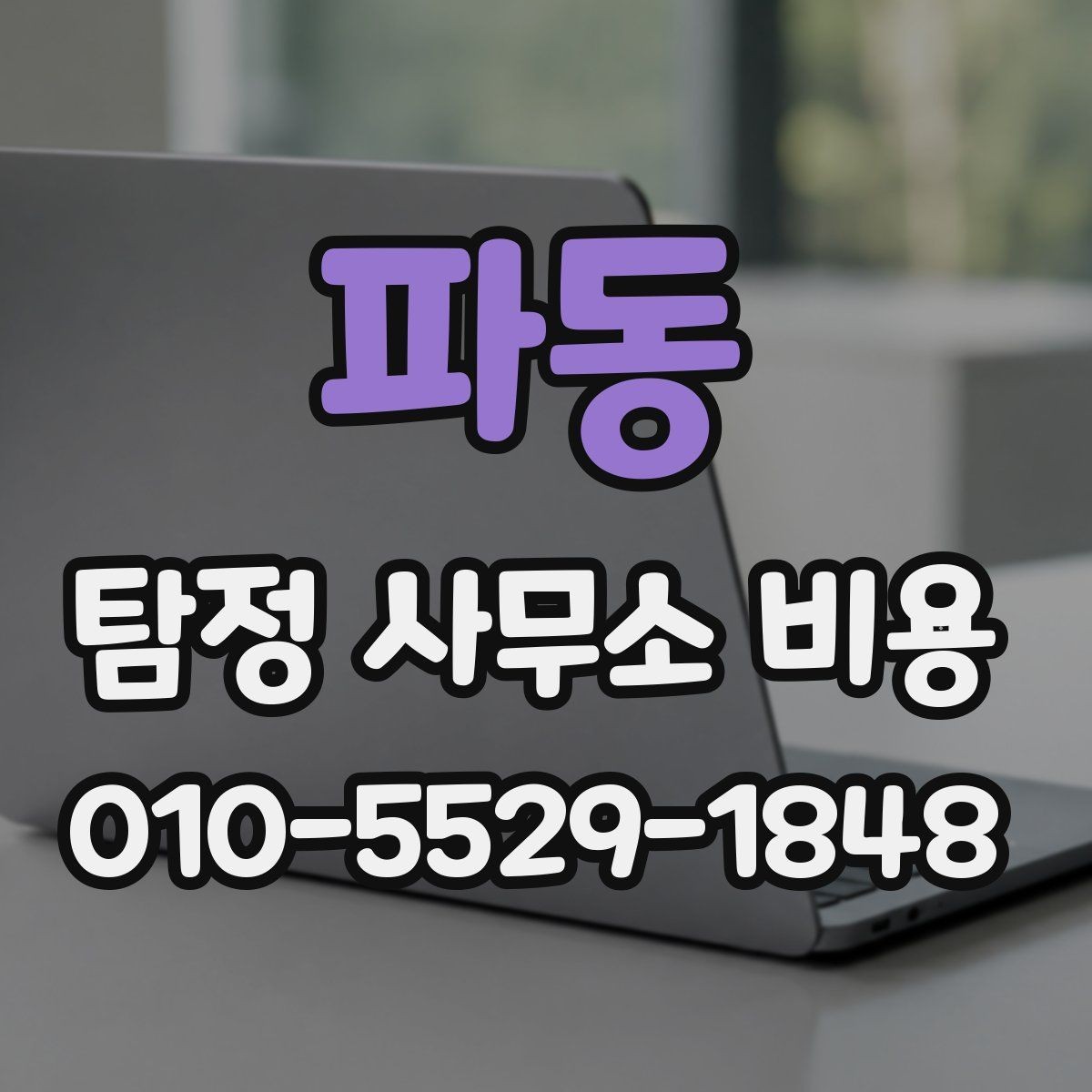 파동 탐정 사무소 비용 결정에 영향을 주는 변수