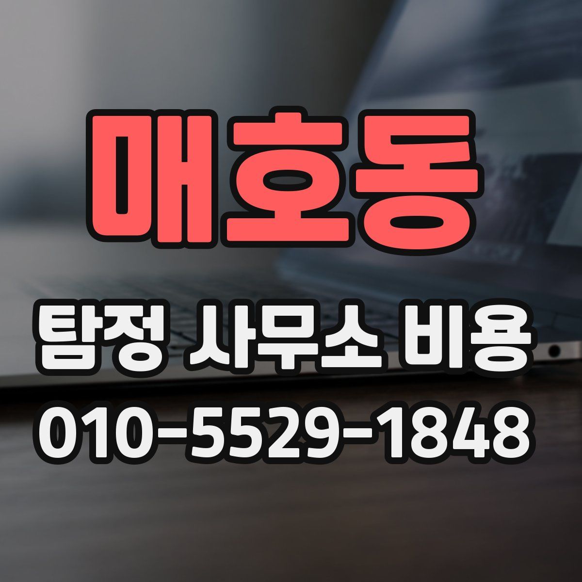 매호동 탐정 사무소 비용
