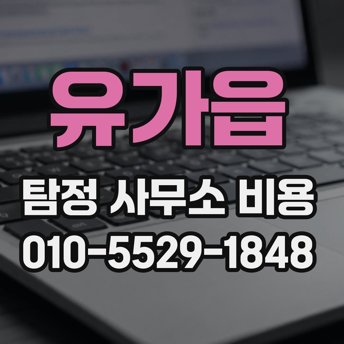 유가읍 탐정 사무소 비용