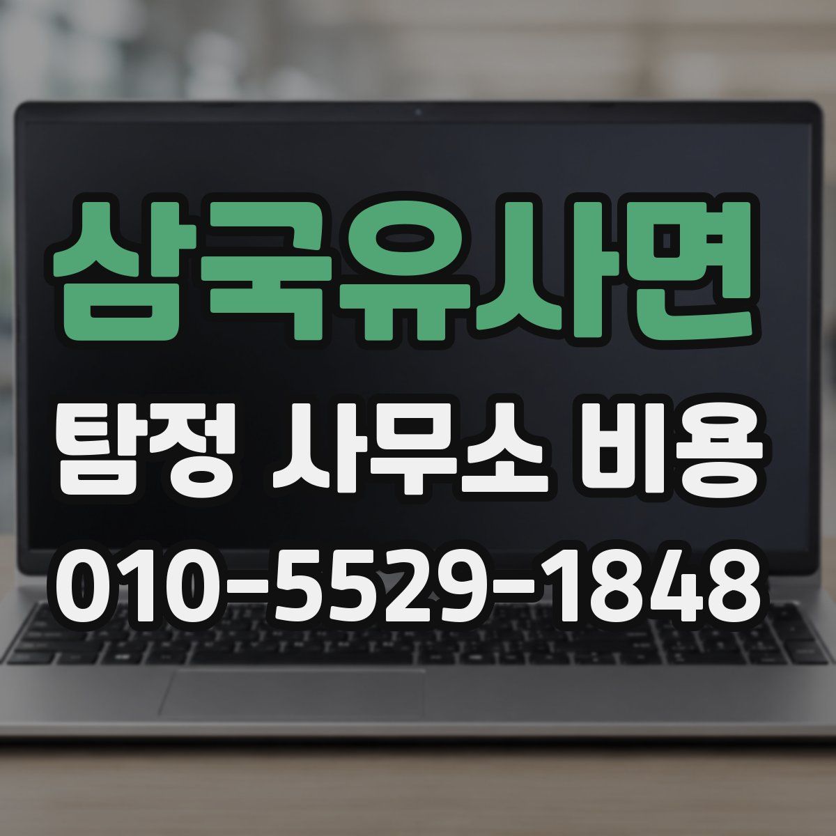 삼국유사면 탐정 사무소 비용
