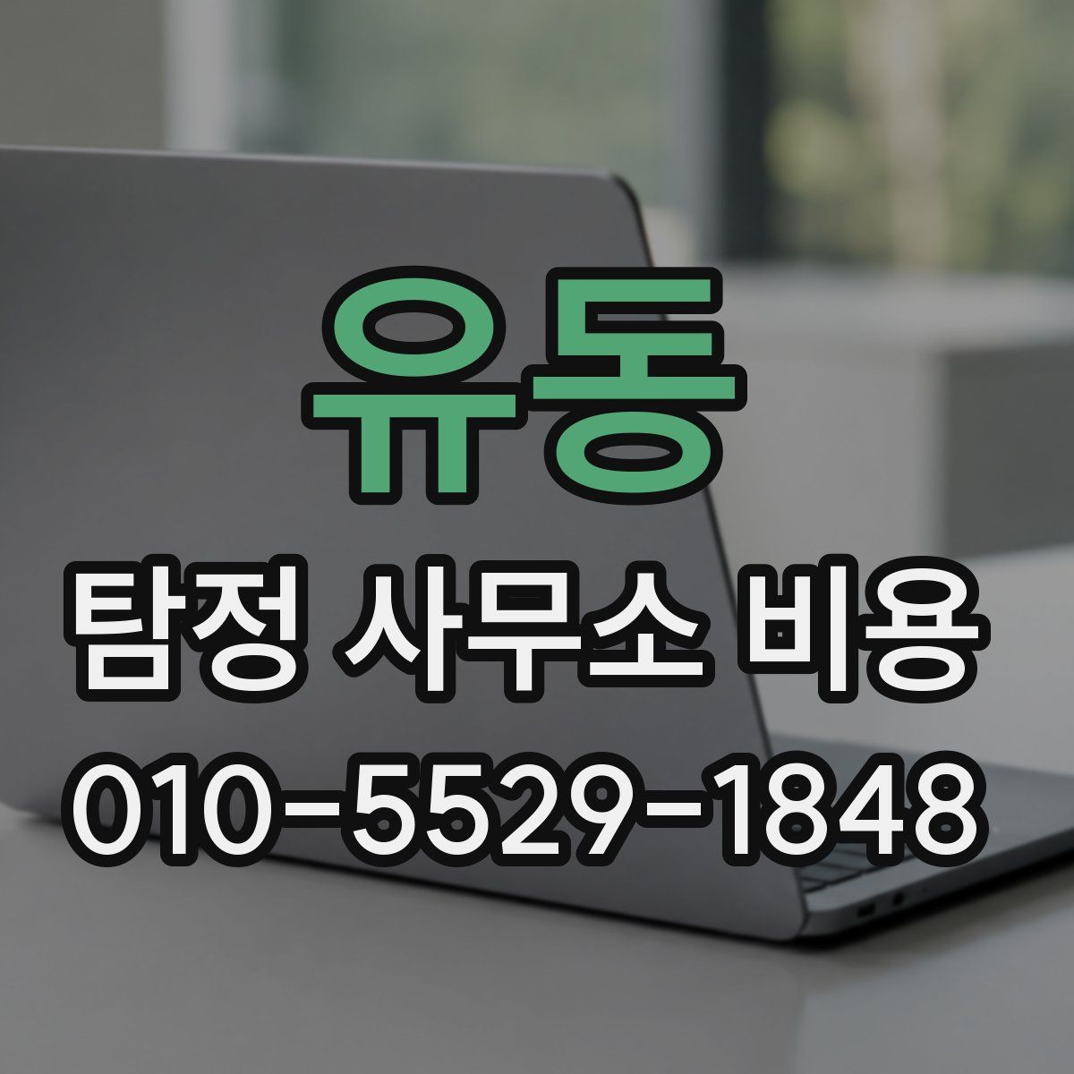 유동 탐정 사무소 비용