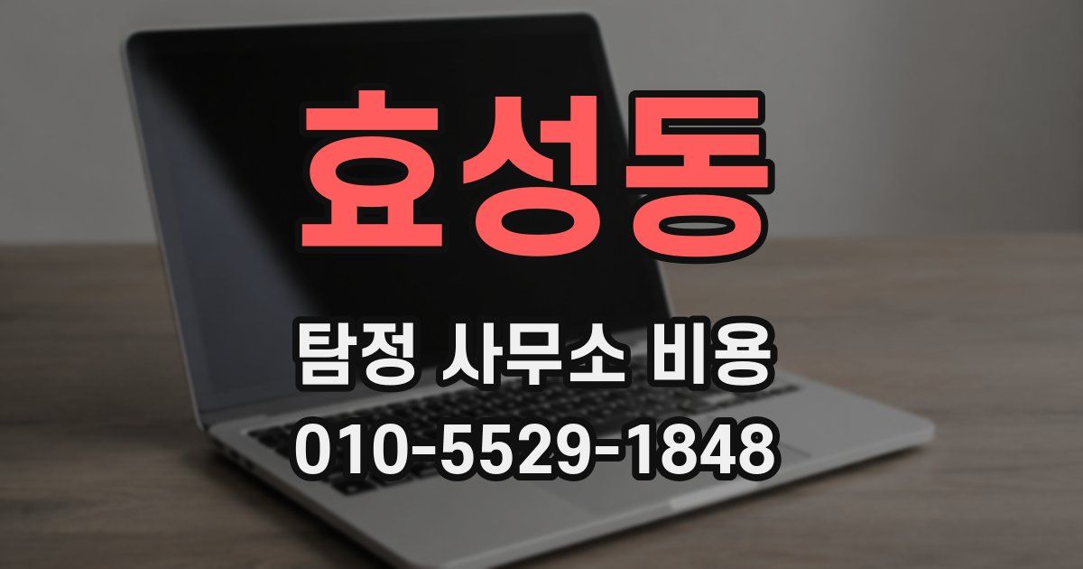 효성동 탐정 사무소 비용