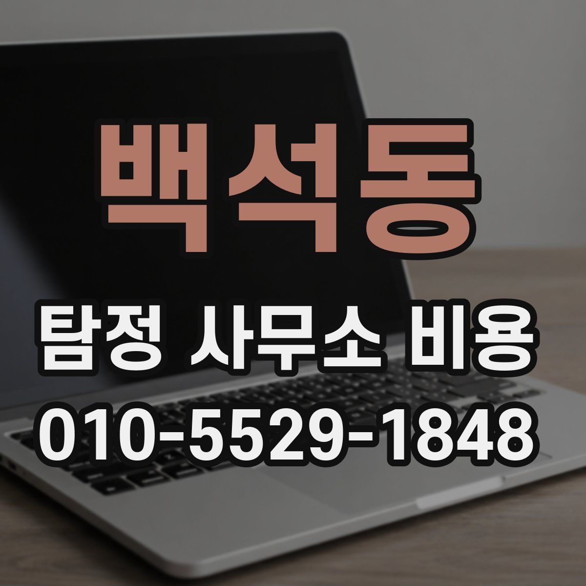백석동 탐정 사무소 비용