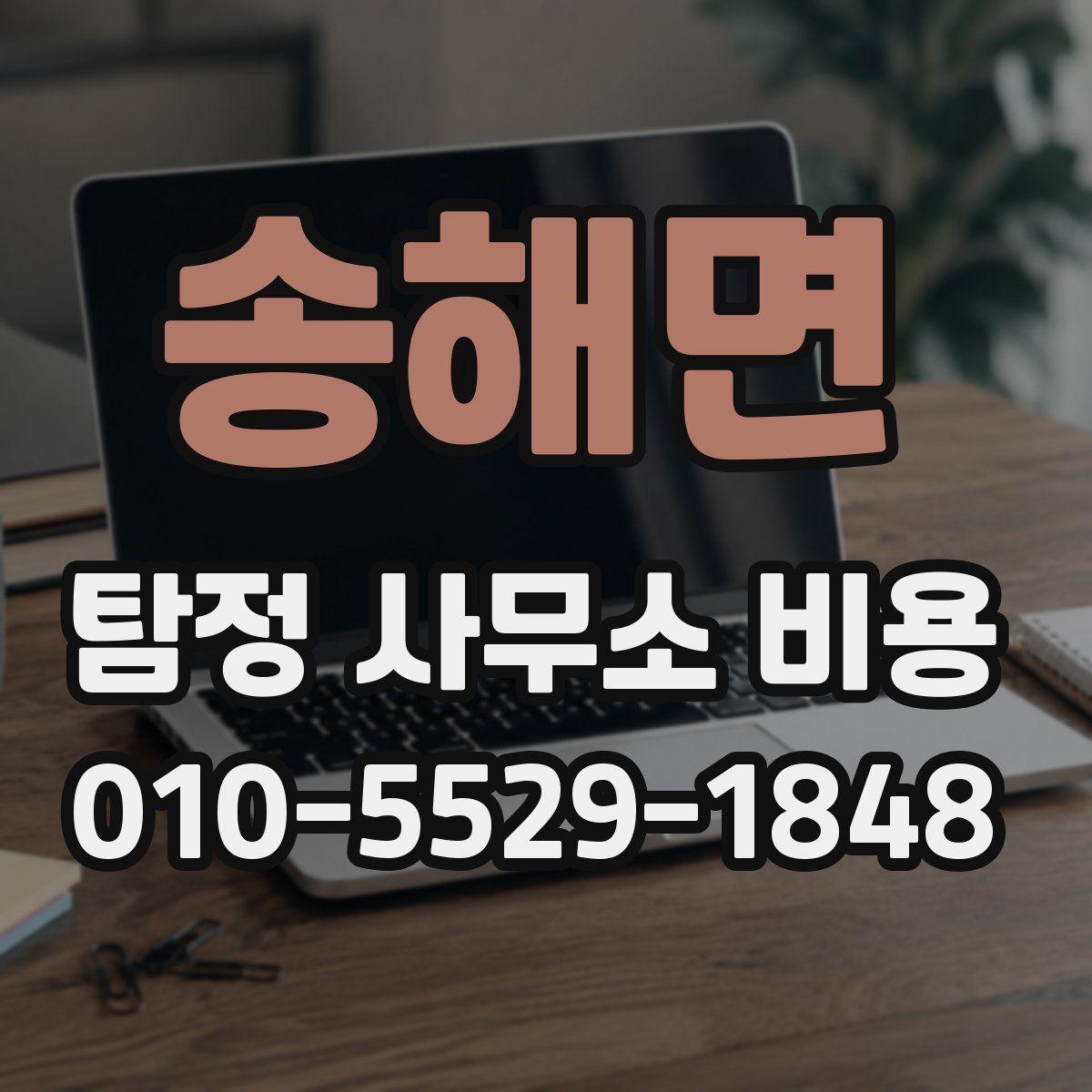 송해면 탐정 사무소 비용