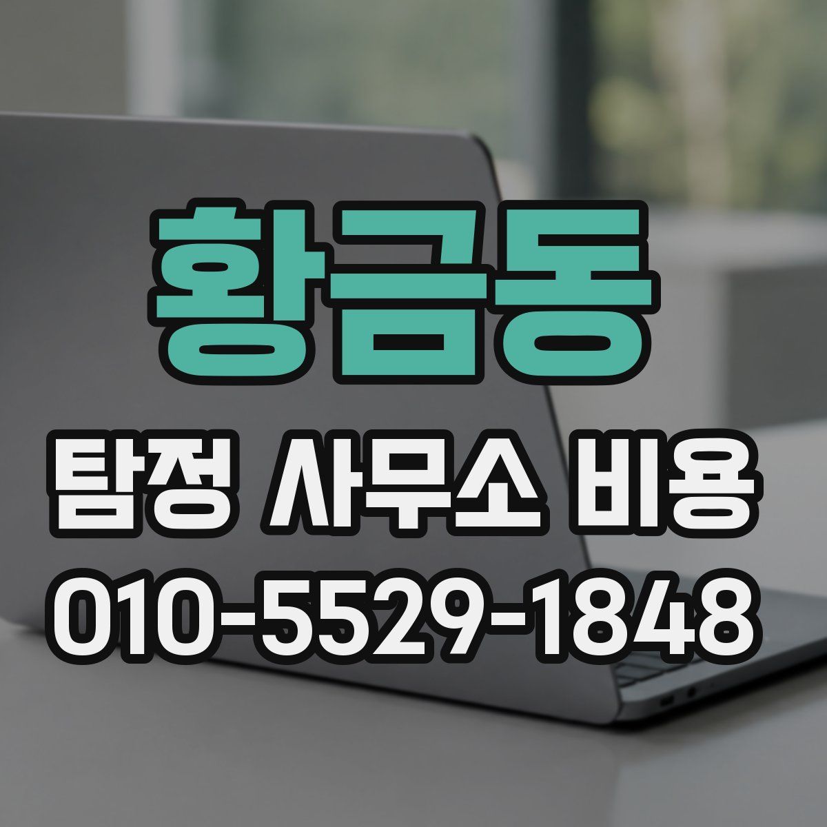 황금동 탐정 사무소 비용