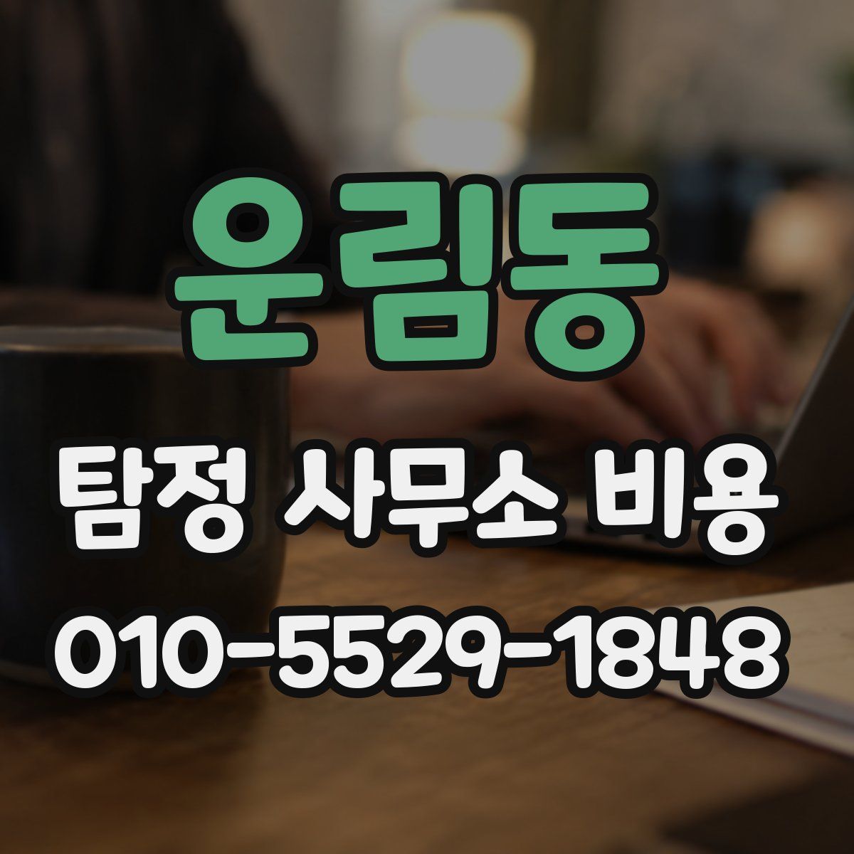 운림동 탐정 사무소 비용