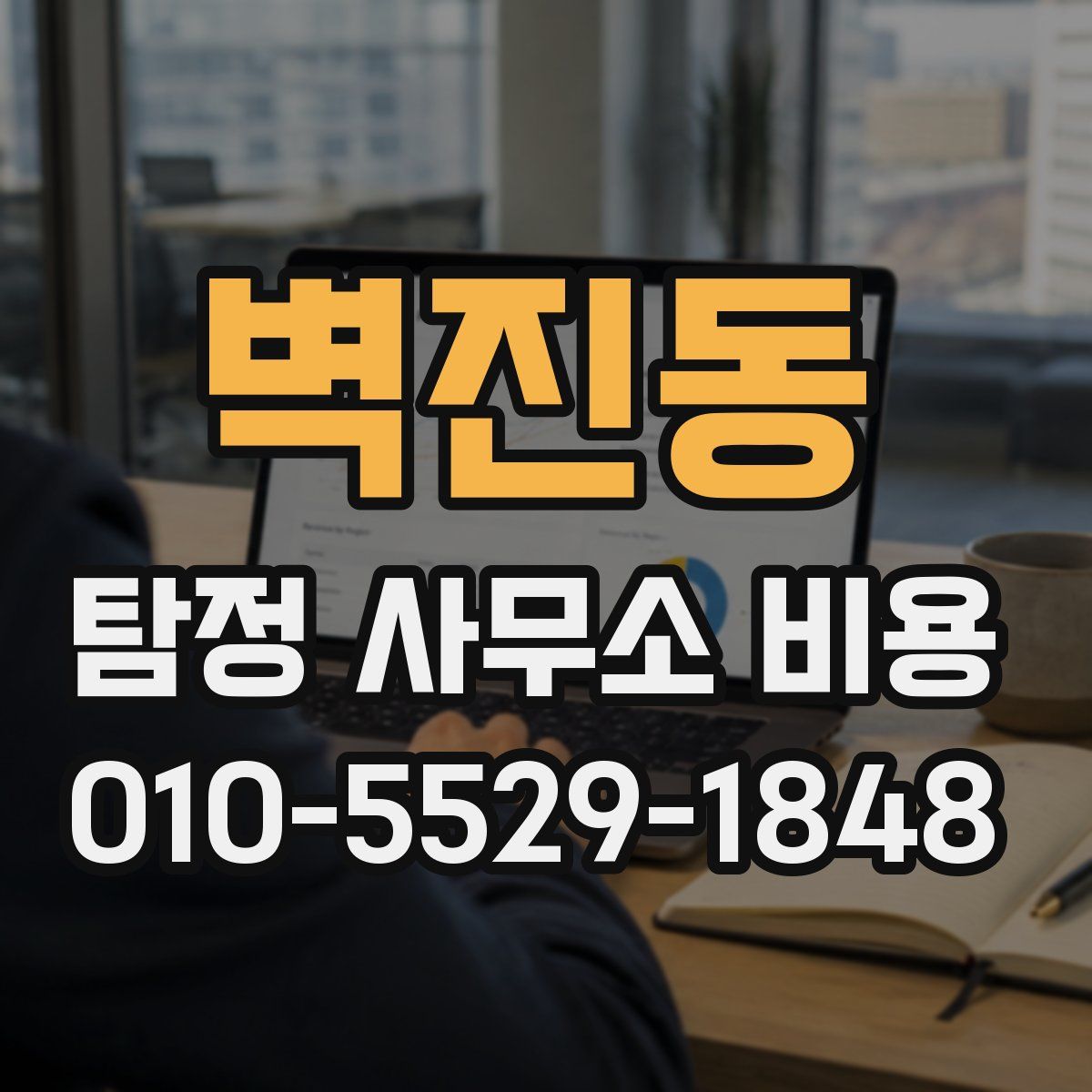 벽진동 탐정 사무소 비용