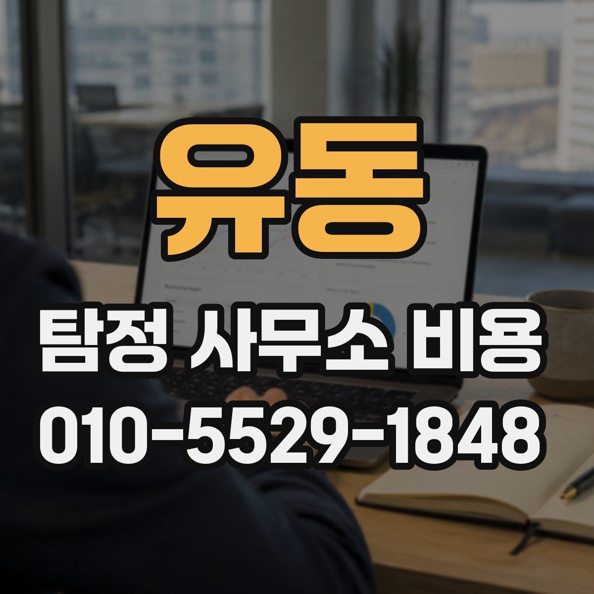 유동 탐정 사무소 비용