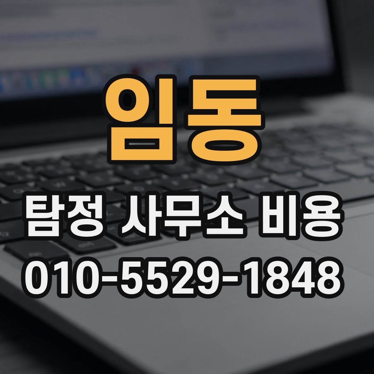 임동 탐정 사무소 비용