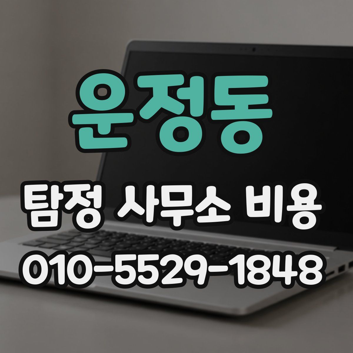 운정동 탐정 사무소 비용
