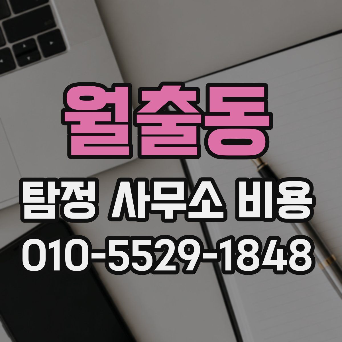 월출동 탐정 사무소 비용