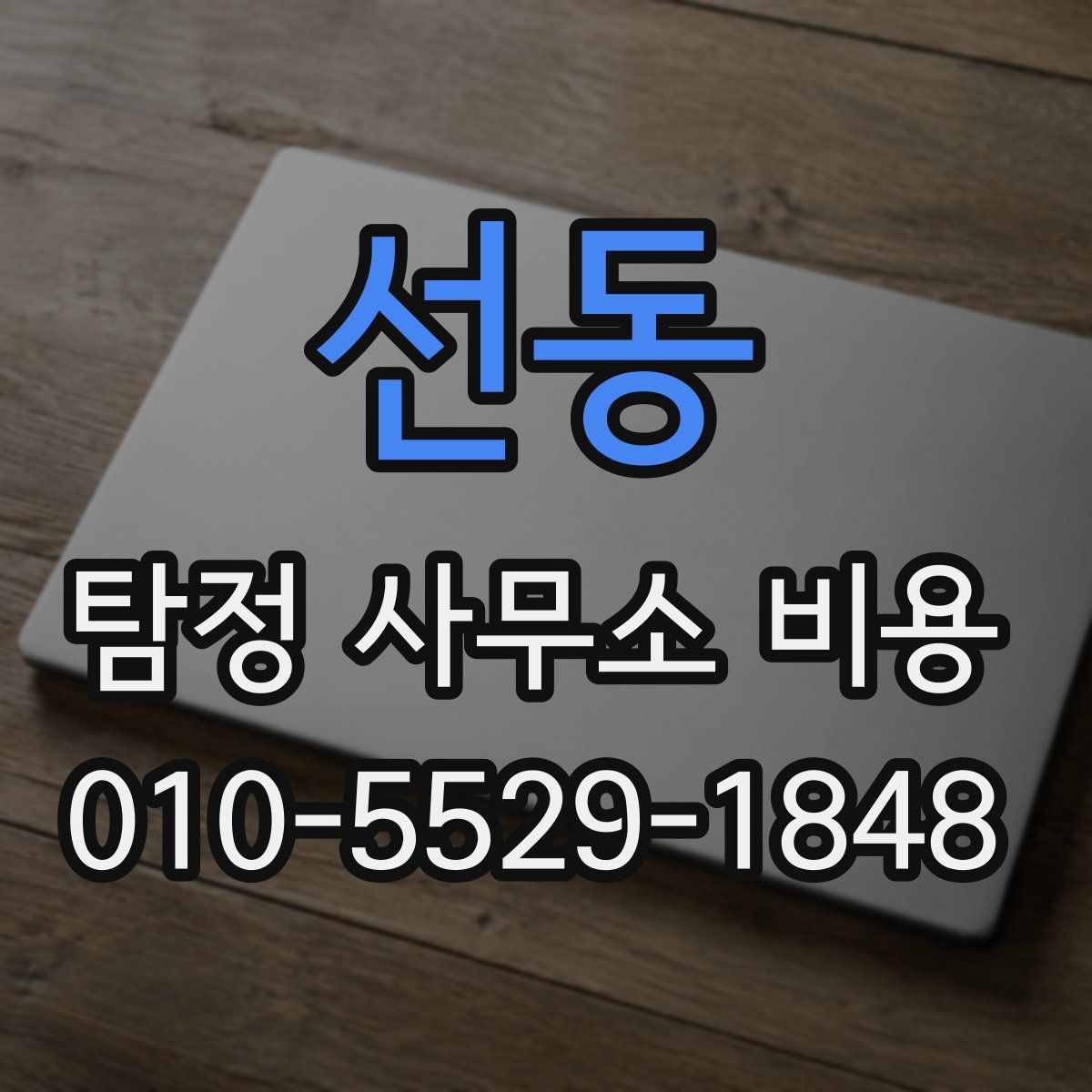 선동 탐정 사무소 비용