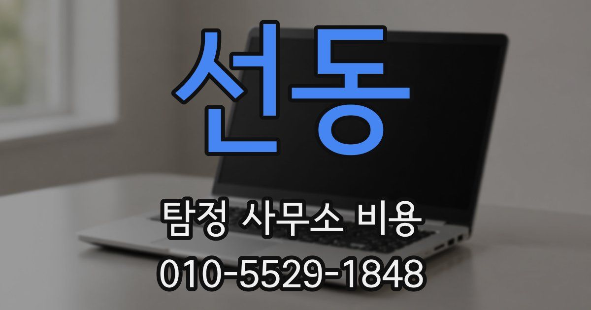 선동 탐정 사무소 비용