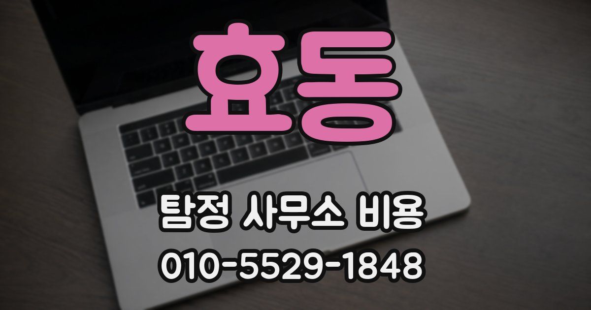 효동 탐정 사무소 비용