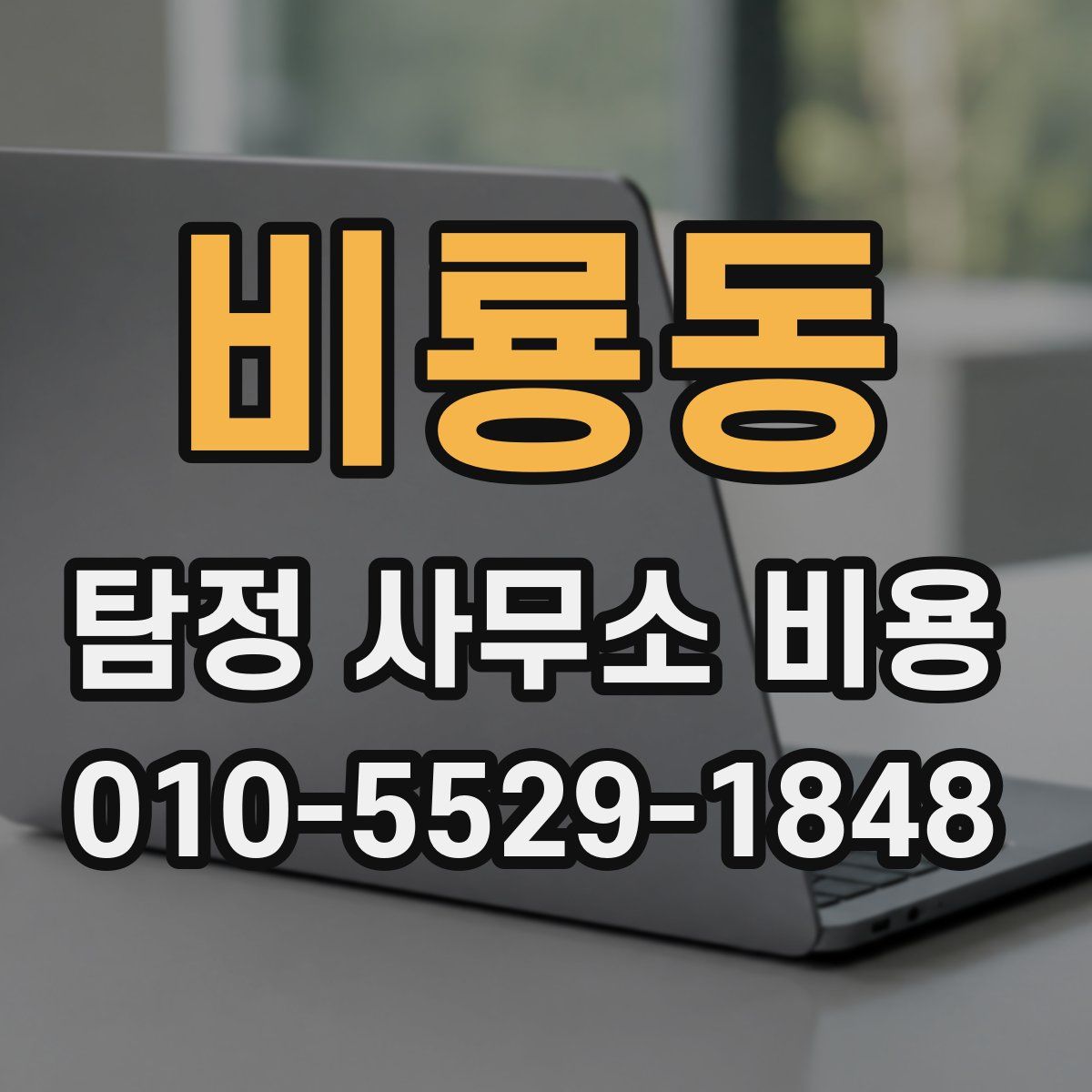 비룡동 탐정 사무소 비용