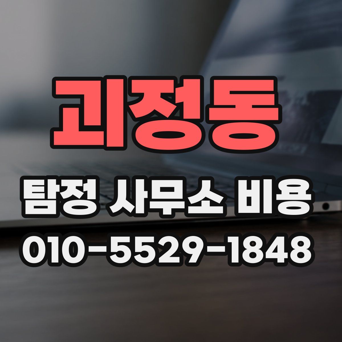 괴정동 탐정 사무소 비용
