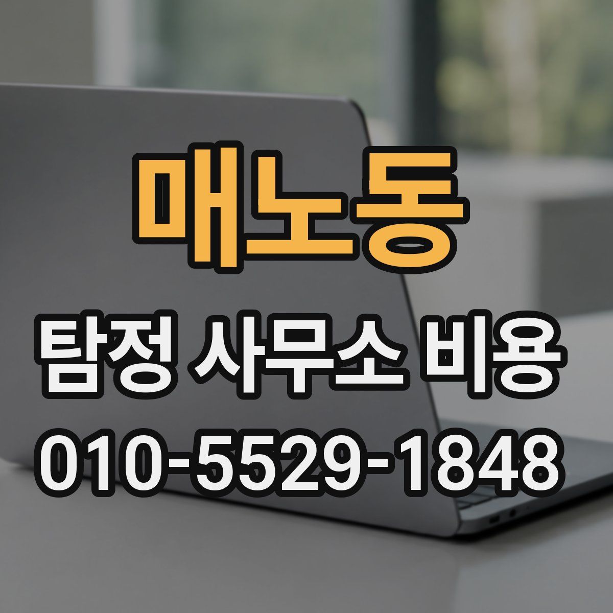 매노동 탐정 사무소 비용