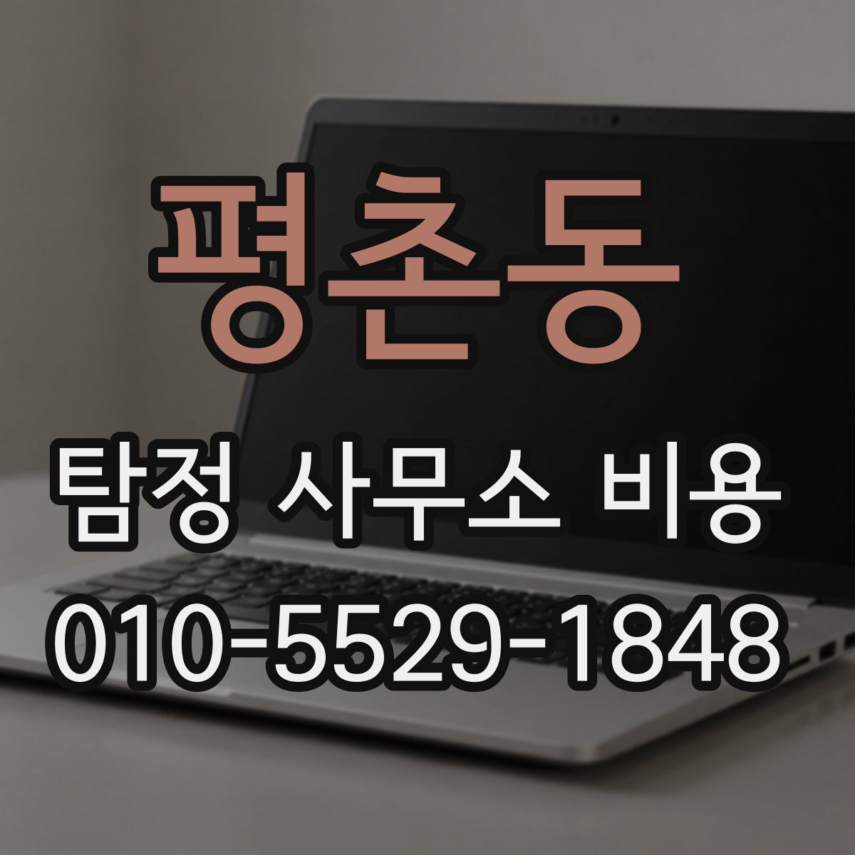 평촌동 탐정 사무소 비용