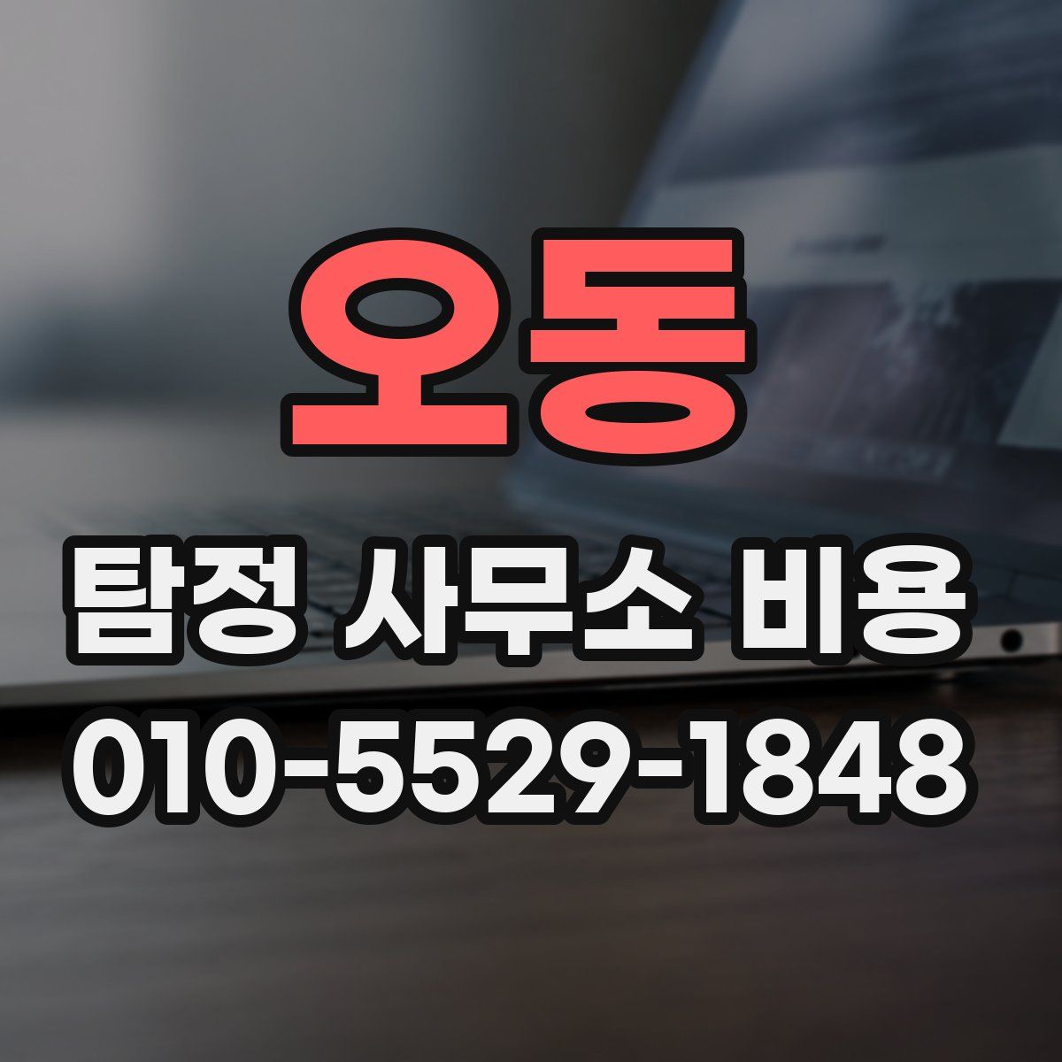 오동 탐정 사무소 비용