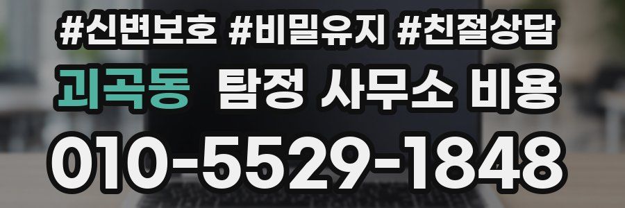 괴곡동 탐정 사무소 비용