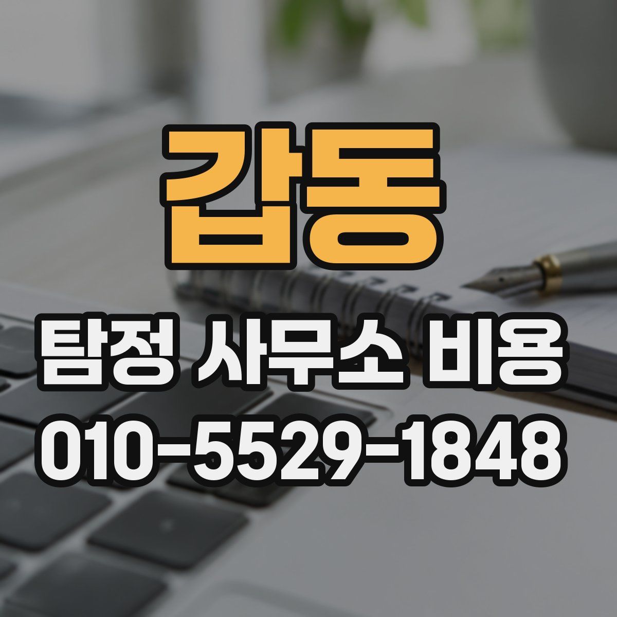 갑동 탐정 사무소 비용