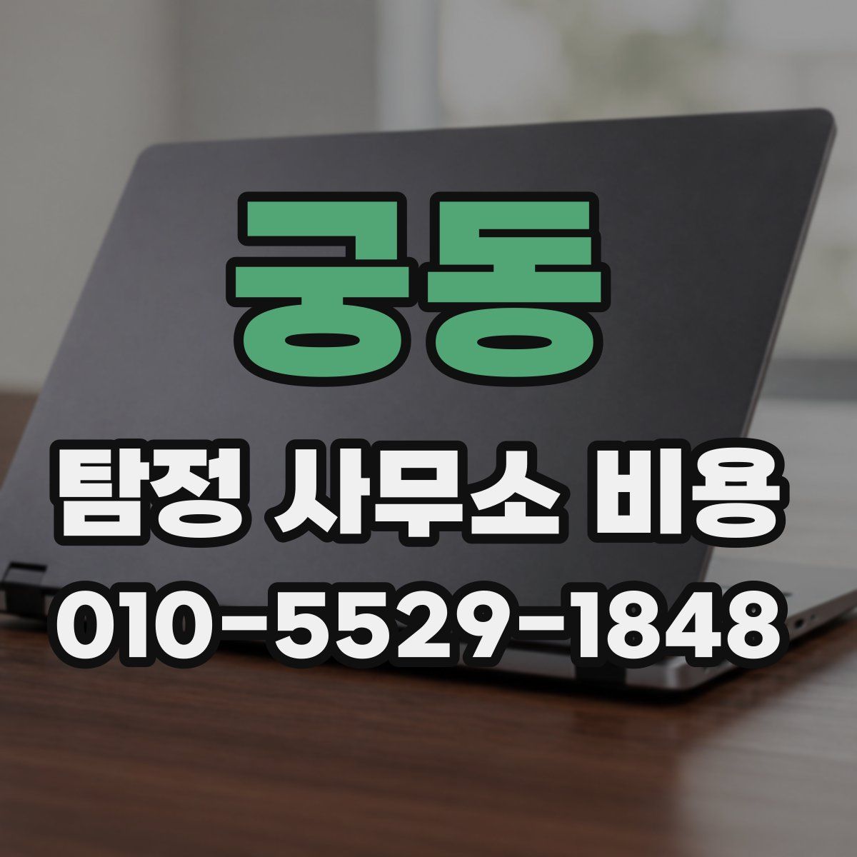 궁동 탐정 사무소 비용