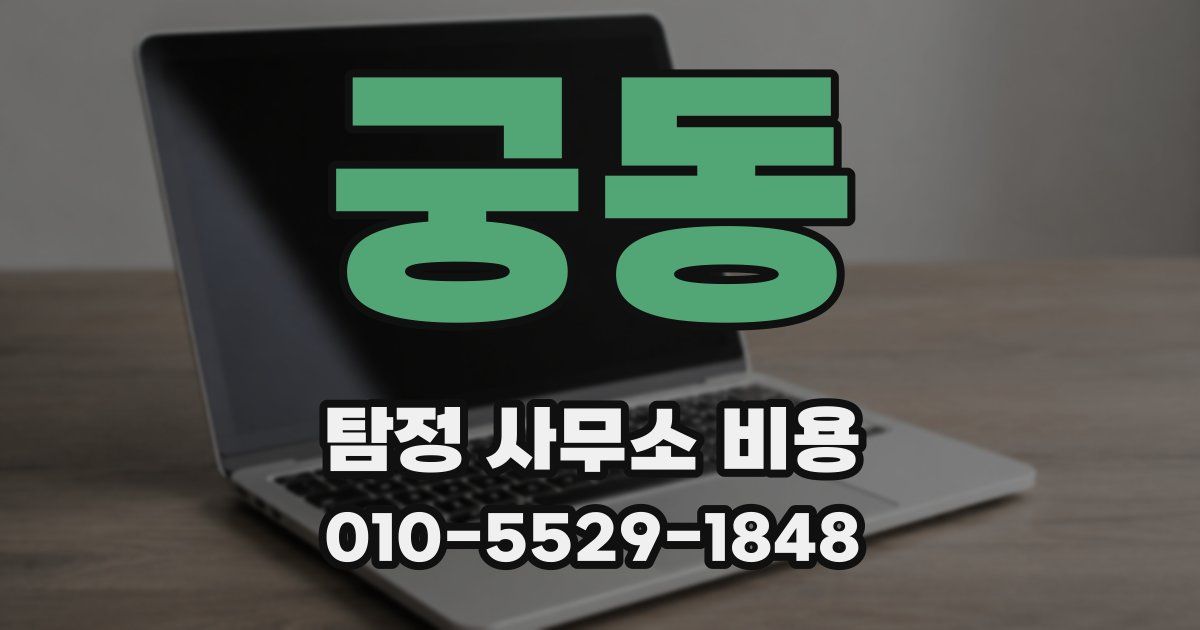 궁동 탐정 사무소 비용