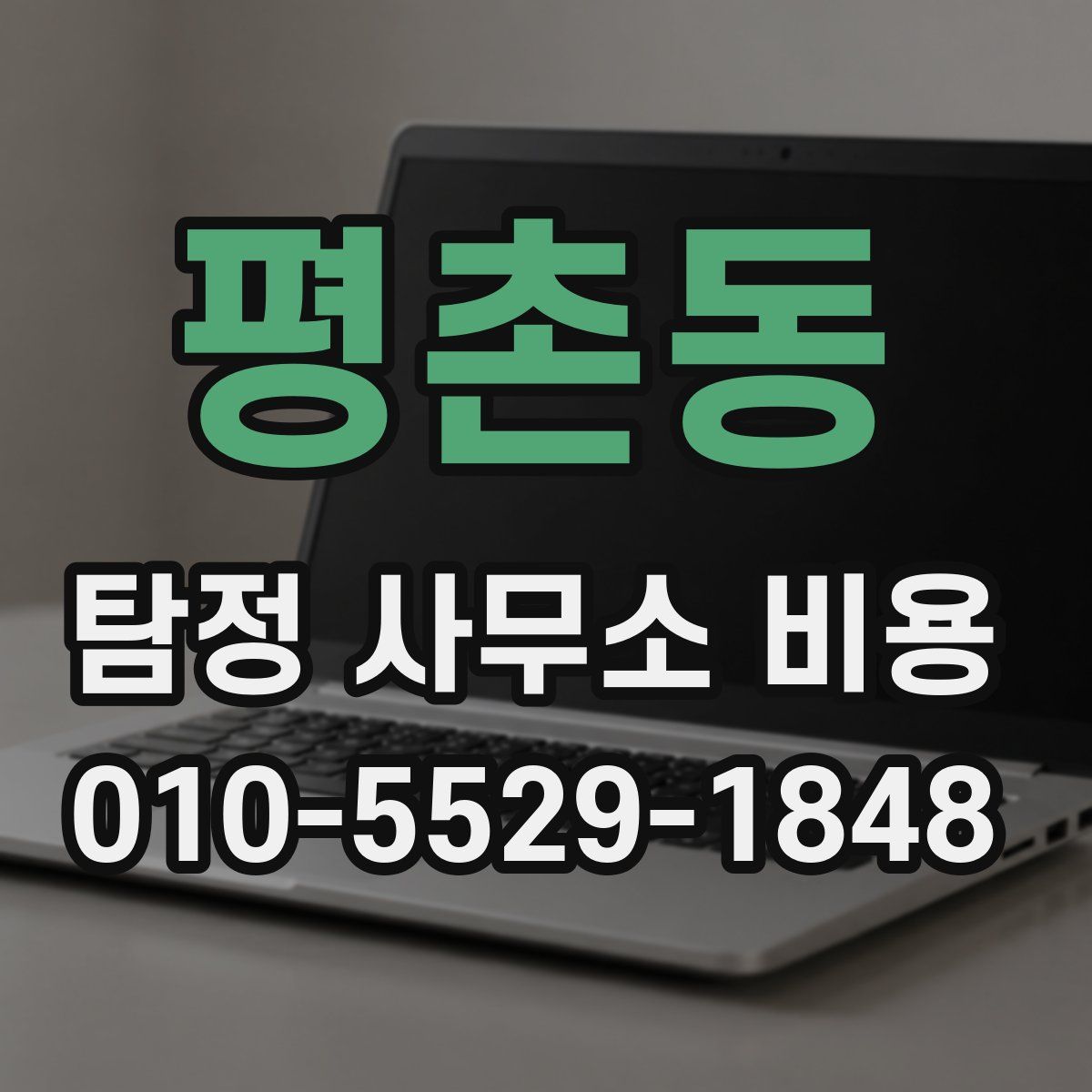 평촌동 탐정 사무소 비용