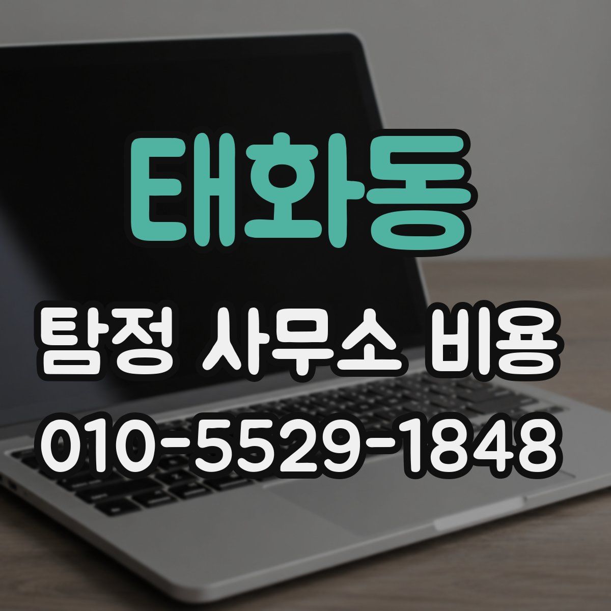 태화동 탐정 사무소 비용