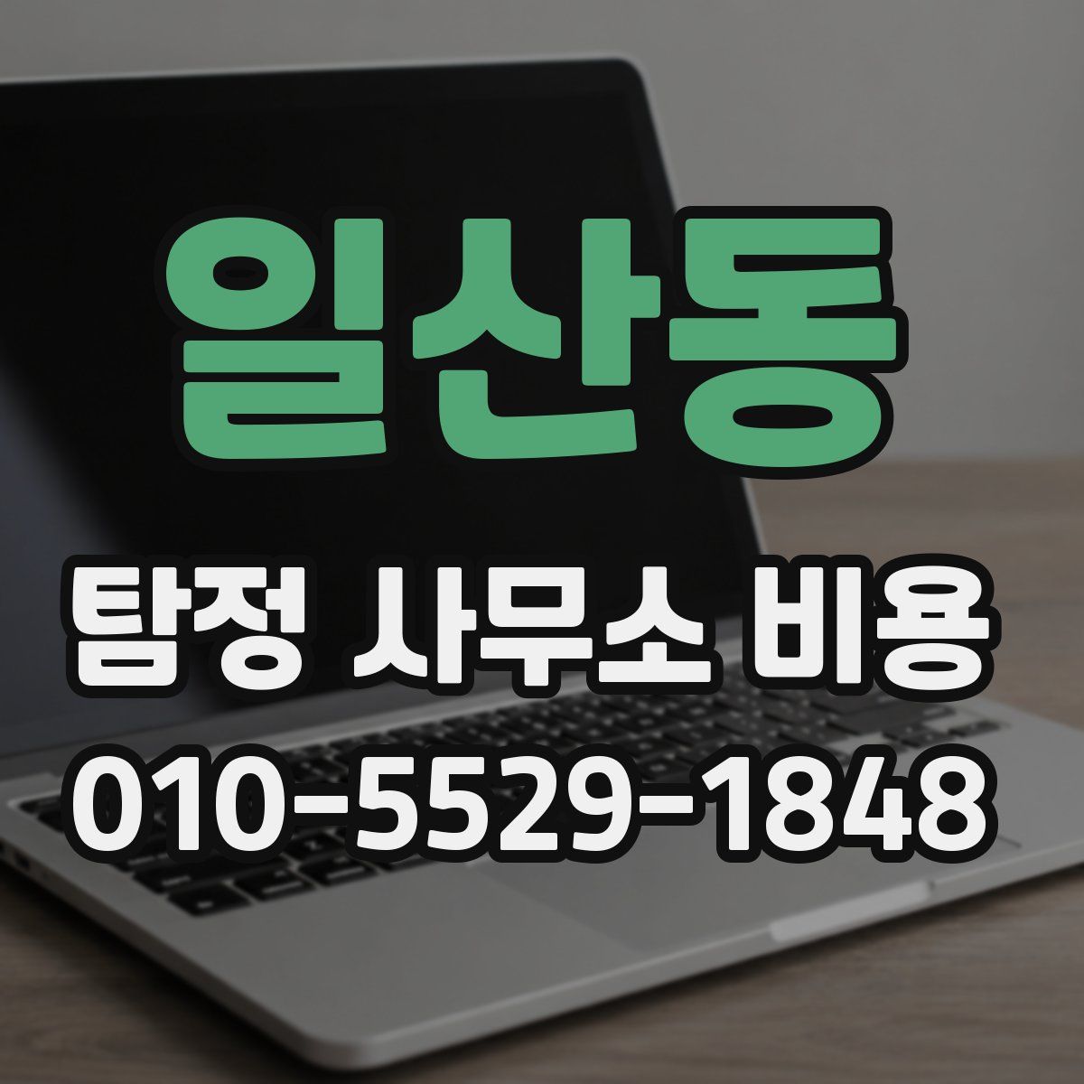 일산동 탐정 사무소 비용