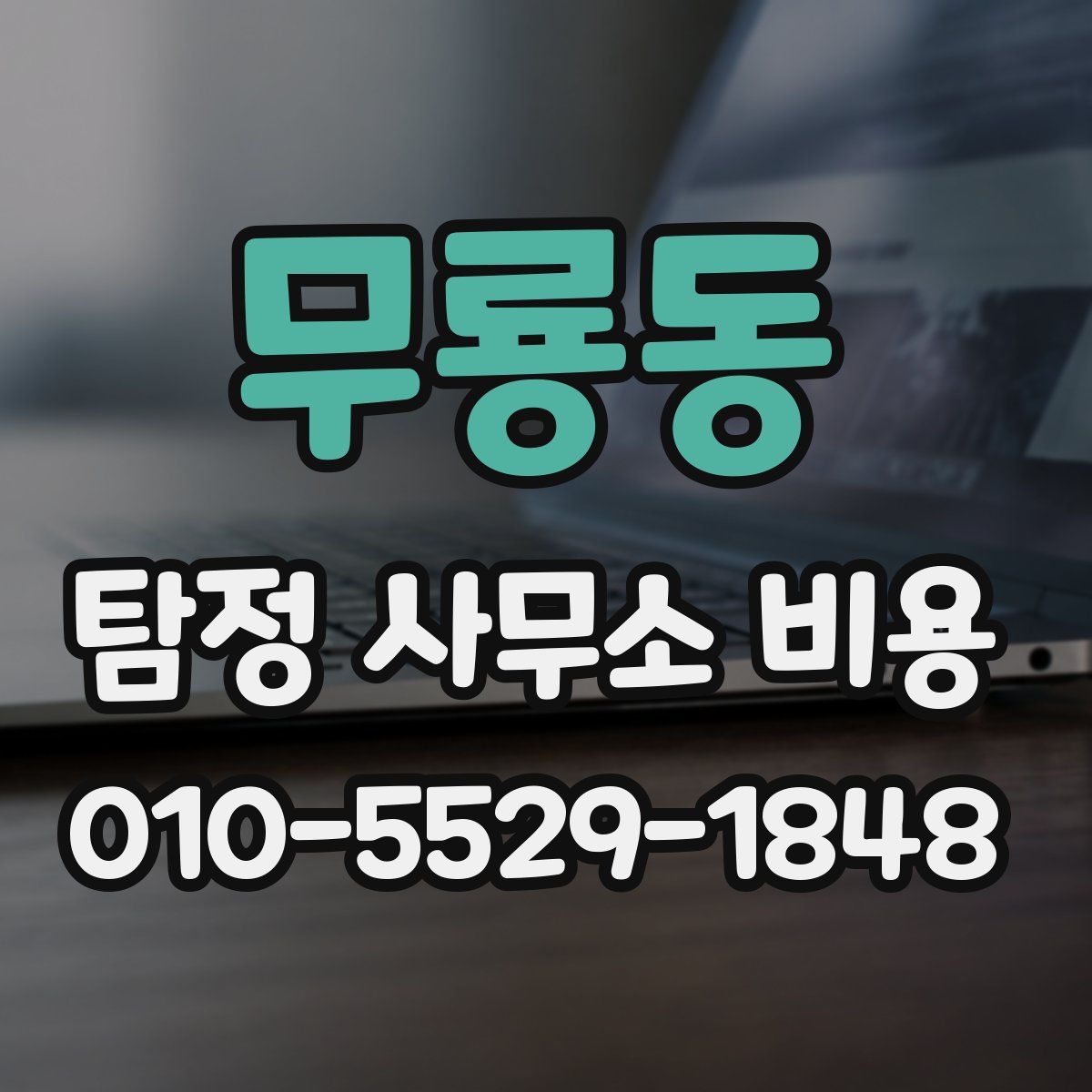 무룡동 탐정 사무소 비용