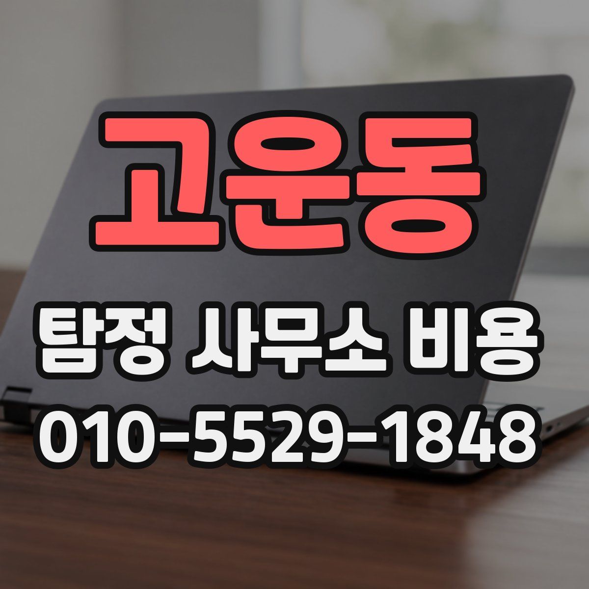 고운동 탐정 사무소 비용